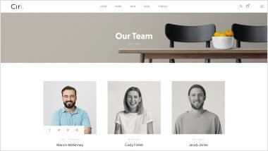 Our Team